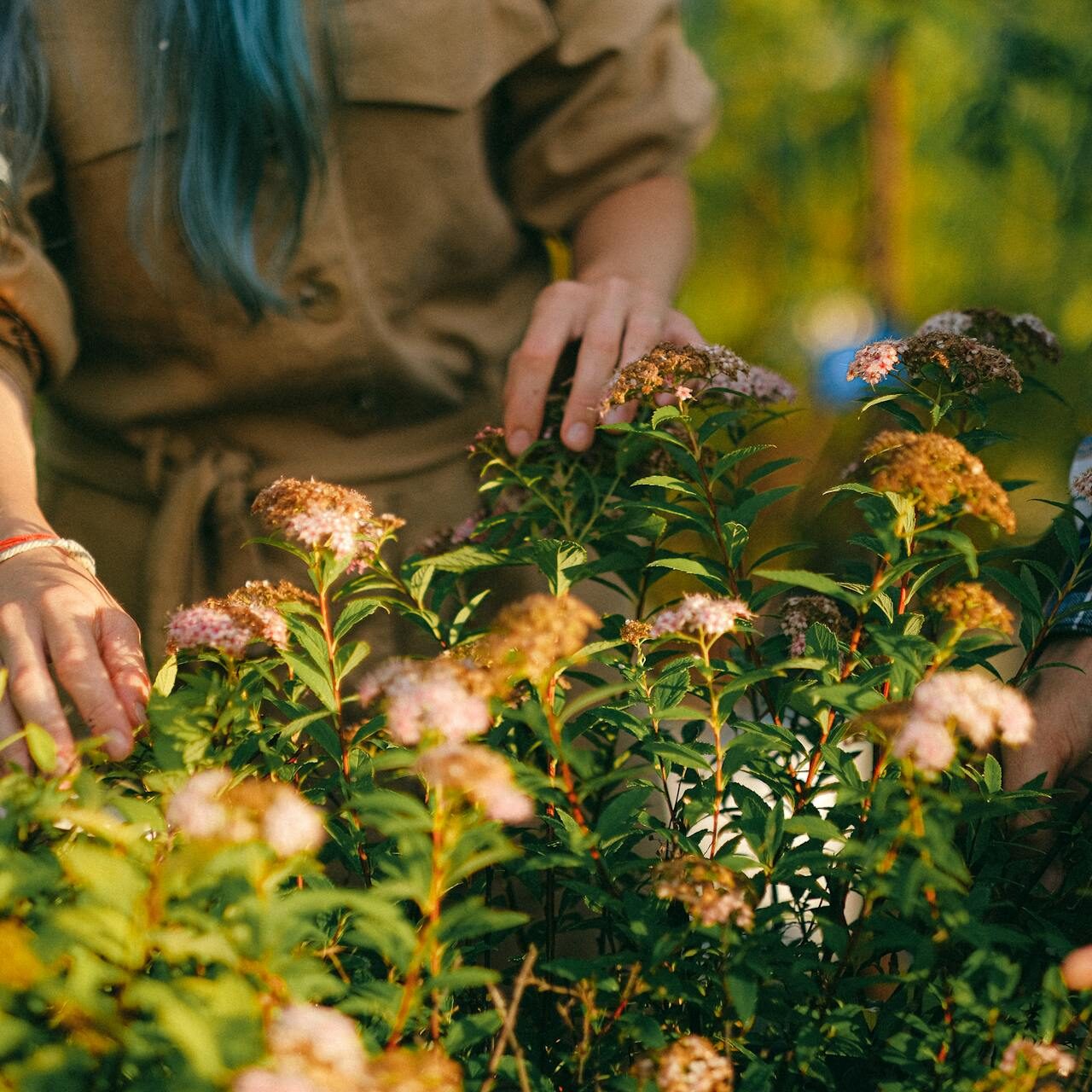 pexels-shvetsa-5029820