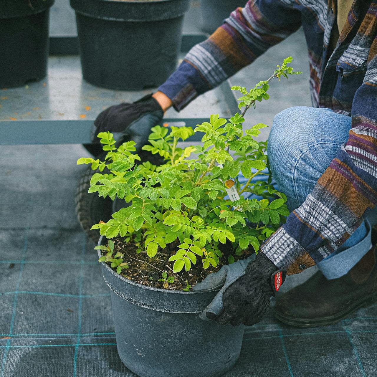 pexels-shvetsa-5230918-2